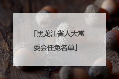 黑龙江省人大常委会任免名单