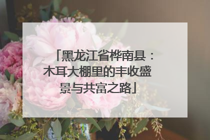黑龙江省桦南县：木耳大棚里的丰收盛景与共富之路