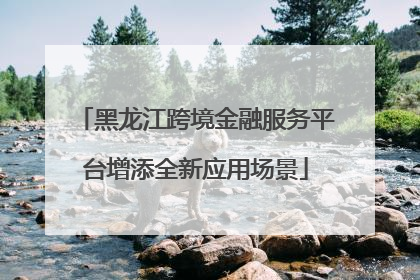 黑龙江跨境金融服务平台增添全新应用场景