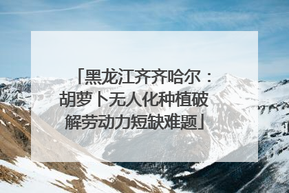 黑龙江齐齐哈尔：胡萝卜无人化种植破解劳动力短缺难题