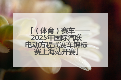 （体育）赛车——2025年国际汽联电动方程式赛车锦标赛上海站开赛