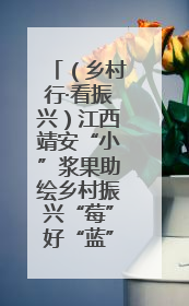 （乡村行·看振兴）江西靖安“小”浆果助绘乡村振兴“莓”好“蓝”图