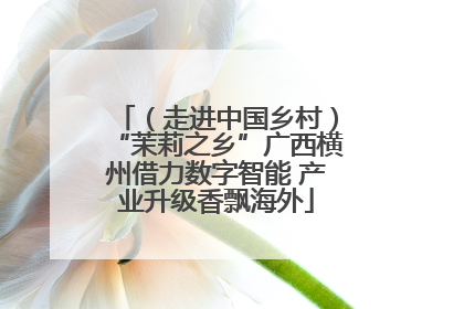 （走进中国乡村）“茉莉之乡”广西横州借力数字智能 产业升级香飘海外