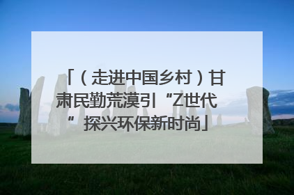 （走进中国乡村）甘肃民勤荒漠引“Z世代”探兴环保新时尚