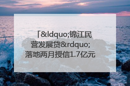 “锦江民营发展贷”落地两月授信1.7亿元，惠及118家民企