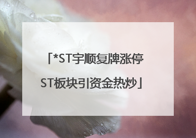 *ST宇顺复牌涨停 ST板块引资金热炒