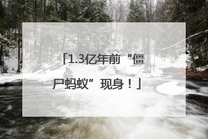 1.3亿年前“僵尸蚂蚁”现身！
