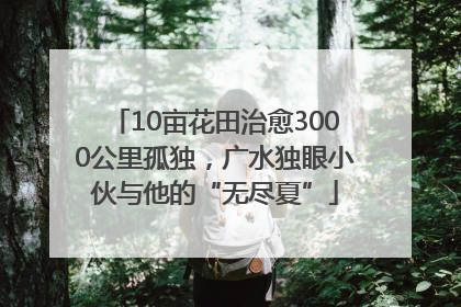 10亩花田治愈3000公里孤独，广水独眼小伙与他的“无尽夏”