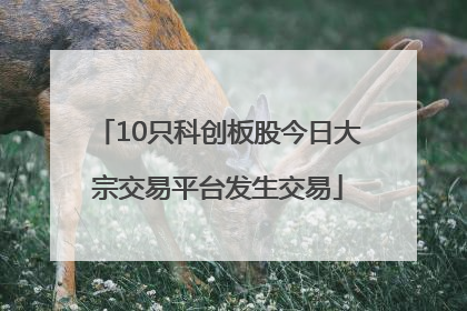 10只科创板股今日大宗交易平台发生交易