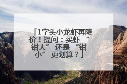 1字头小龙虾再降价！提问：买虾 “钳大” 还是 “钳小” 更划算？