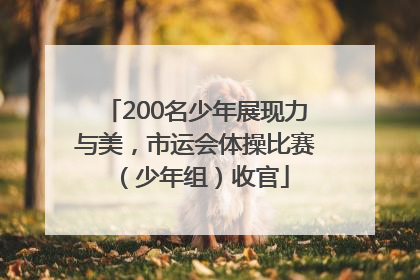 200名少年展现力与美，市运会体操比赛（少年组）收官