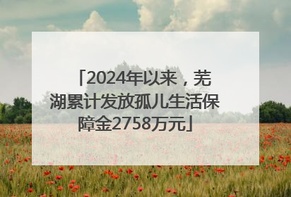2024年以来，芜湖累计发放孤儿生活保障金2758万元