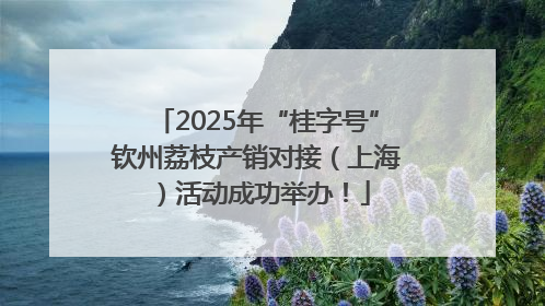 2025年“桂字号”钦州荔枝产销对接（上海）活动成功举办！
