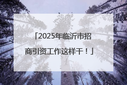 2025年临沂市招商引资工作这样干！