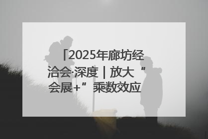 2025年廊坊经洽会·深度｜放大“会展+”乘数效应 打造消费新场景