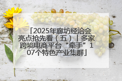 2025年廊坊经洽会亮点抢先看（五）丨多家跨境电商平台“牵手”107个特色产业集群