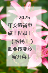 2025年安徽省重点工程职工（农民工）职业技能竞赛开幕