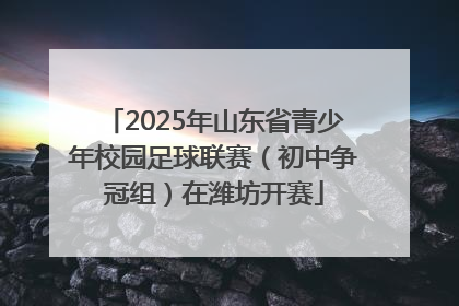 2025年山东省青少年校园足球联赛（初中争冠组）在潍坊开赛
