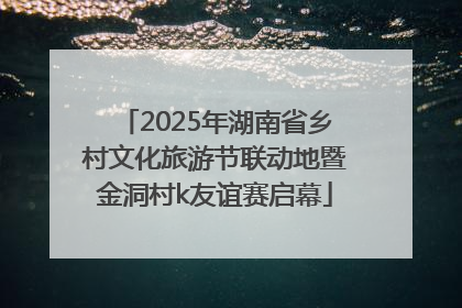 2025年湖南省乡村文化旅游节联动地暨金洞村k友谊赛启幕