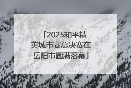 2025和平精英城市赛总决赛在岳阳市圆满落幕
