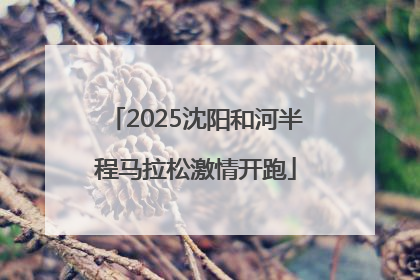 2025沈阳和河半程马拉松激情开跑