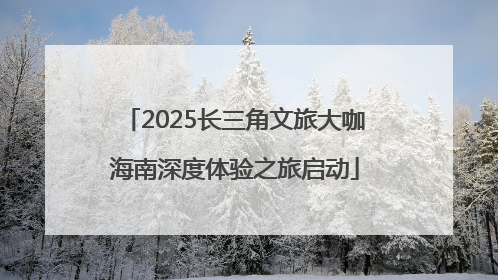 2025长三角文旅大咖海南深度体验之旅启动