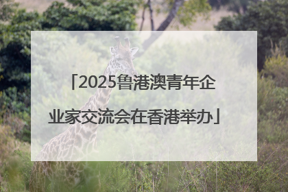 2025鲁港澳青年企业家交流会在香港举办