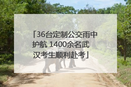 36台定制公交雨中护航 1400余名武汉考生顺利赴考