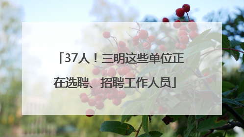 37人！三明这些单位正在选聘、招聘工作人员