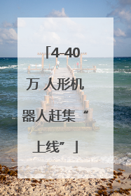 4-40万 人形机器人赶集“上线”