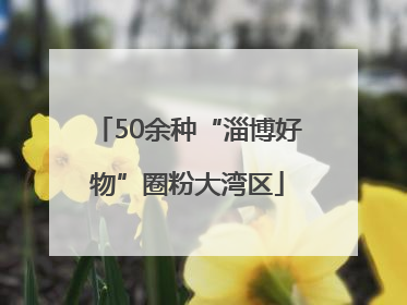 50余种“淄博好物”圈粉大湾区