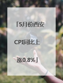 5月份西安CPI同比上涨0.8%