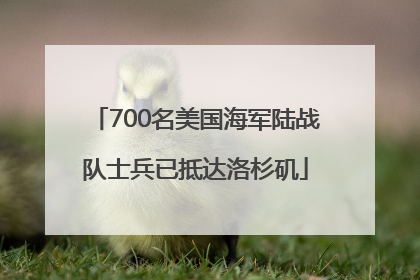 700名美国海军陆战队士兵已抵达洛杉矶