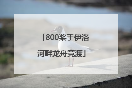 800桨手伊洛河畔龙舟竞渡