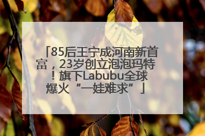 85后王宁成河南新首富，23岁创立泡泡玛特！旗下Labubu全球爆火“一娃难求”