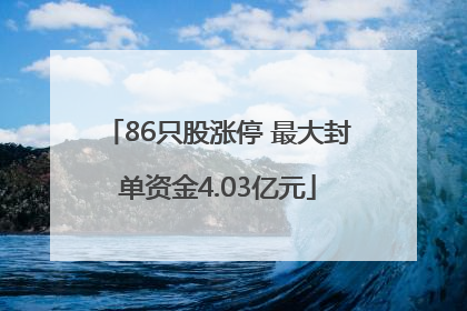 86只股涨停 最大封单资金4.03亿元