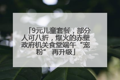 9元儿童套餐，部分人可八折，爆火的赤壁政府机关食堂端午“宠粉” 再升级