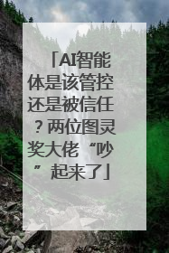 AI智能体是该管控还是被信任？两位图灵奖大佬“吵”起来了