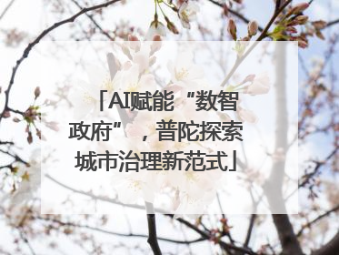 AI赋能“数智政府”，普陀探索城市治理新范式