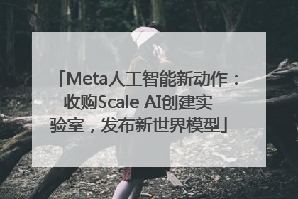 Meta人工智能新动作：收购Scale AI创建实验室，发布新世界模型