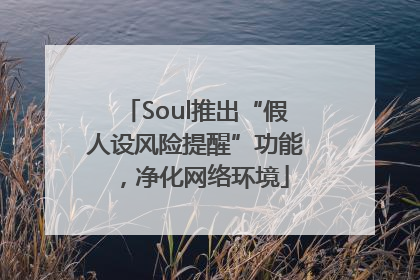 Soul推出“假人设风险提醒”功能，净化网络环境
