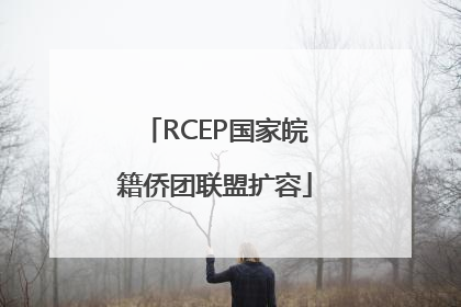RCEP国家皖籍侨团联盟扩容